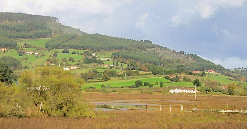 Humedal de la Ría de Villaviciosa.