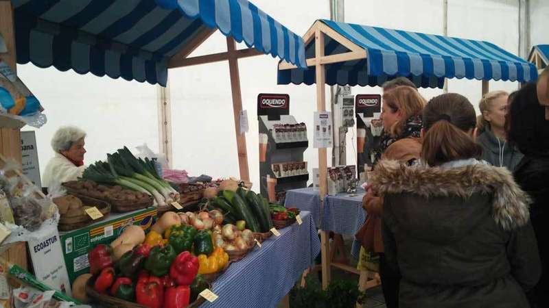 ecollanera-mercado-fitur-2018