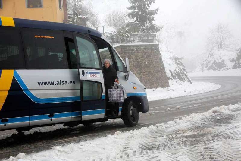 nevada-ortiguero-cabrales
