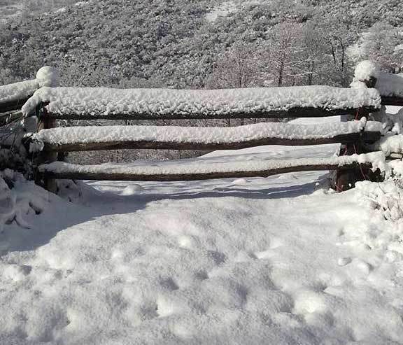 nevada parque natural de ponga