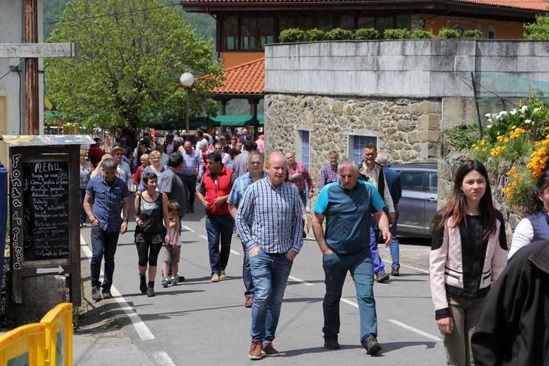 ponga-carreras-caballos