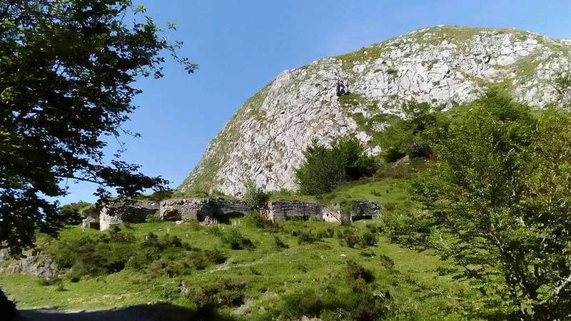 ponga-reserva-biosfera-bunquer