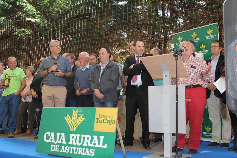 borja marquez el fielato premios gamoneu de oro