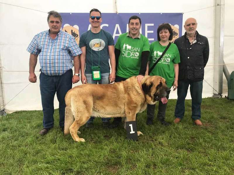 san-isidro-llanera-2019