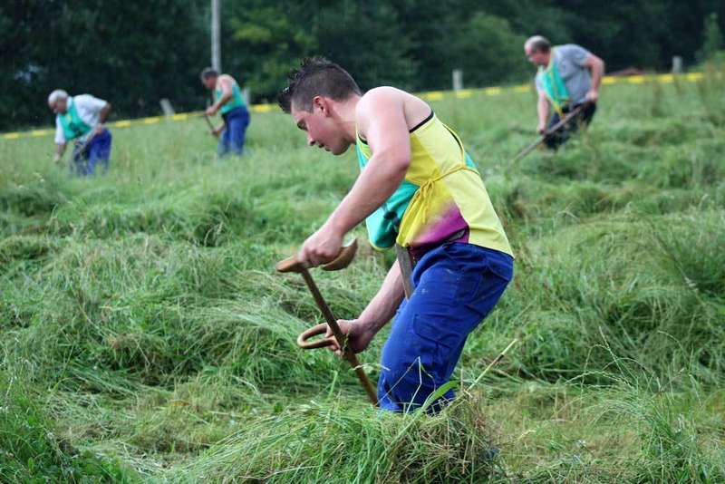 san-rom&aacute;n-siega