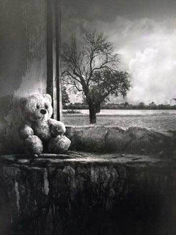 abandono premio fotografia siero